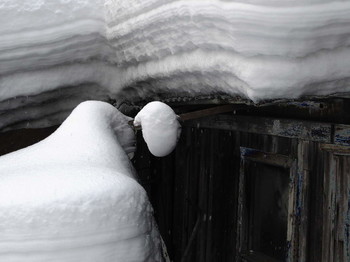 winter / 2016-01-30-0546-C000-042(80)+C