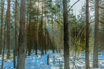 perfect weather / ***