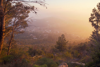 Morning in the mountains / ***