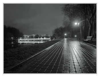 In the night park / ***