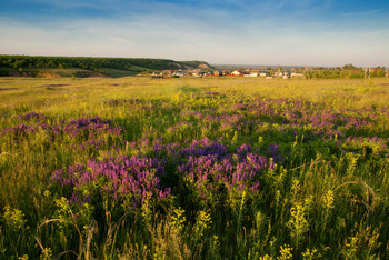 On the outskirts / ***