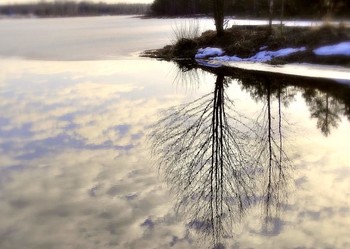 reflection of the spring / ***