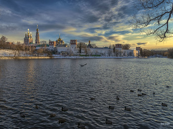 Novodevichy Convent / ***