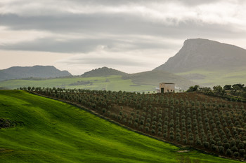 Among the hills / ***