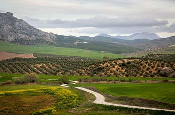 Evening Landscape / ***