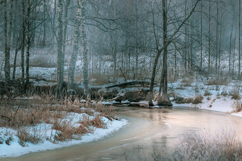 spring landscape / ***