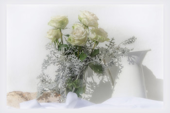 White Roses / ***