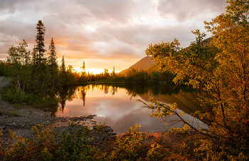 Dawn on the lake / ***