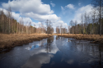 Early Spring / ***