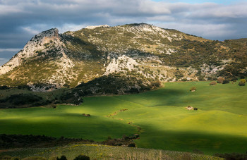 Meeting the sun / ***