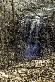 Falls Through the Trees / This was a glimpse of the falls through the trees in this bush