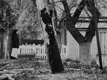 &nbsp; / [img]https://sun9-54.userapi.com/c857020/v857020612/12b821/IabGm59_bk8.jpg[/img]