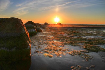 The Gulf of Finland / ***