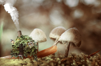 &nbsp; / Happiness is when you have everything at home and the house with you....)