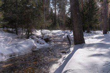 Spring afternoon / ***