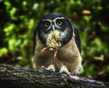 September morning / ***