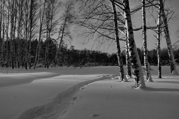 Winter evening. / ***