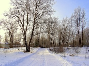 Winter in the village / ***