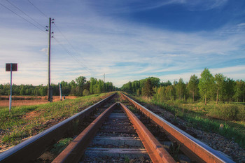 The road in the summer / ***