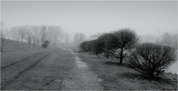 Walk in the fog / ***