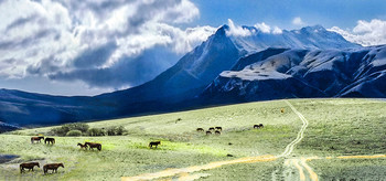Pasture / ***