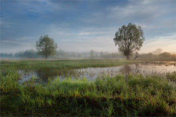 Starts a new day / ***