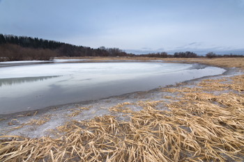 Spring on the lake / ***