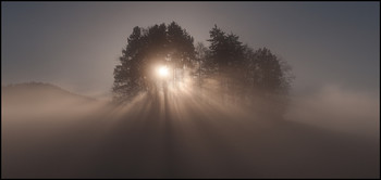Nebel / Sonnenstrahlen