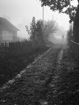 road in the fog / ***