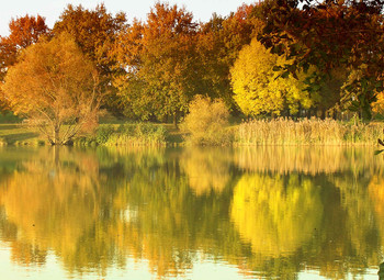 A nice Day in October / Die Sonne ließ die Bäume am kleinen See in Gold erstrahlen, so schön kann ein Tag im Oktober sein