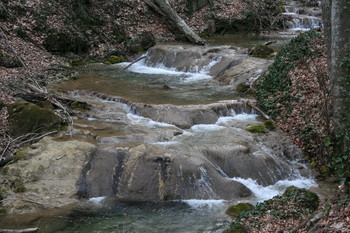 Mountain streams / ***