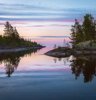 silent dawn / ***