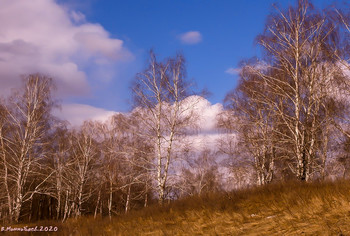 April&#39;s sketch / ...