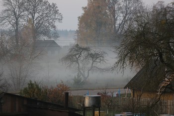 autumn mist / ***
