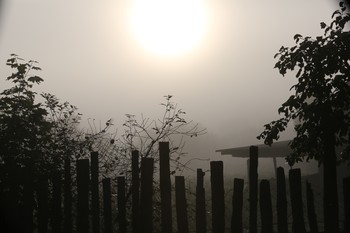 Morning haze / ***