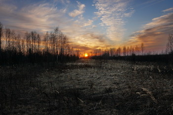 April evening. / ***