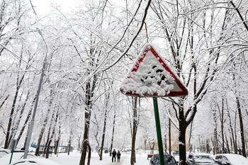 &nbsp; / •••
雪