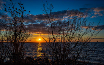 Evening on the Bay / ***