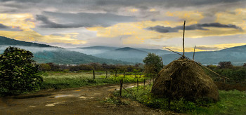 Rural morning / ***