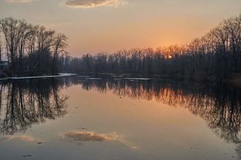 &nbsp; / ***