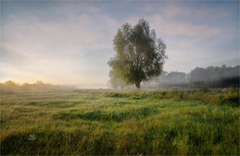 September morning / ***