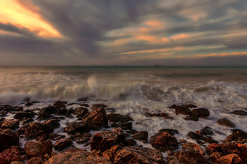 surf / ***