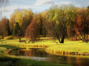 Sunny autumn / ***