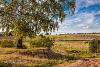 Country road / ***