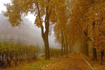 Golden Alley / ***