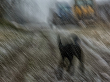 In bad weather / ***