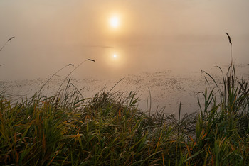 Sunrise / ***
