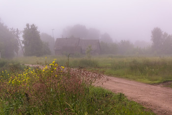 Foggy morning / ***