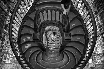 Livraria Lello / ***