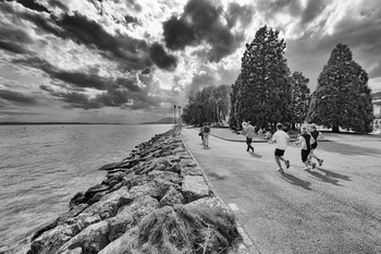 On the waterfront / ***